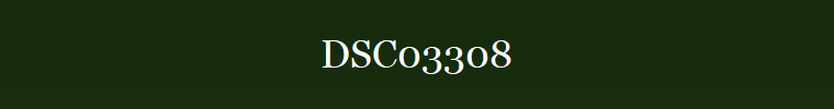 DSC03308