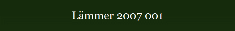 Lmmer 2007 001