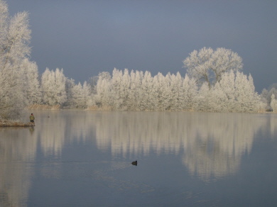 Frohe Weihnachten und einen guten Rutsch ins neue Jahr
